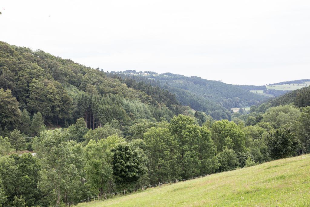 Ferienwohnung Ruhenest Willingen  Bagian luar foto