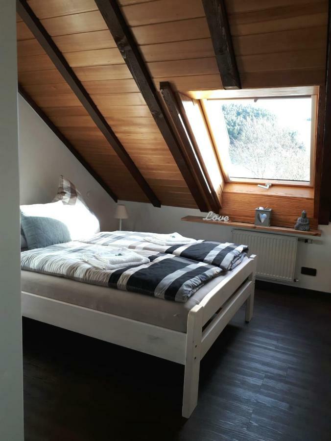 Ferienwohnung Ruhenest Willingen  Bagian luar foto